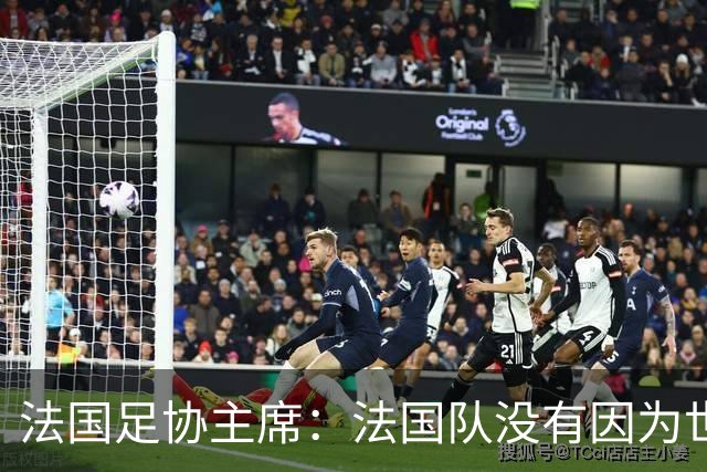 法国足协主席：法国队没有因为世界杯奖金问题而气氛紧张